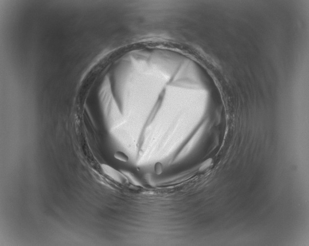 X0000082961400200702152254