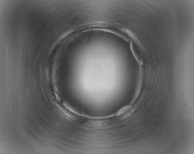 X0000082961402200702152254