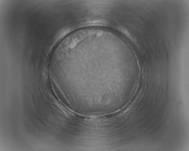 X0000082961405200702152254