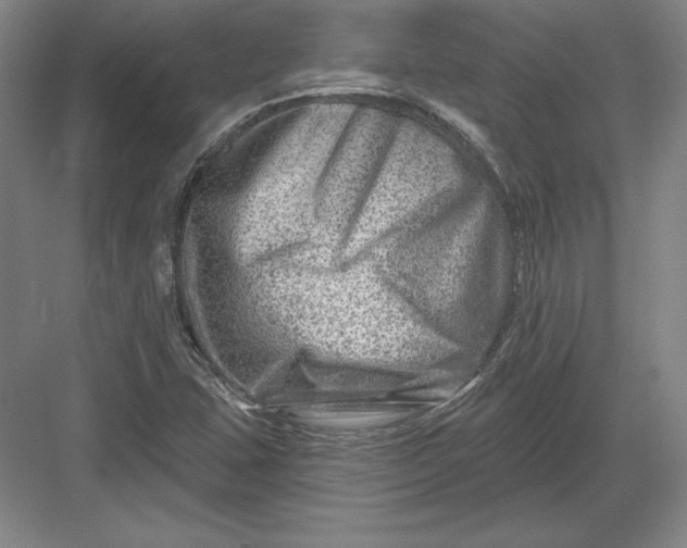 X0000082961407200702152254