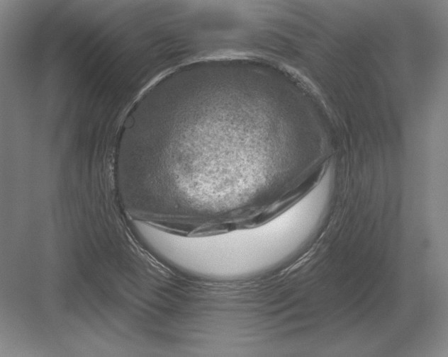 X0000082961409200702152254