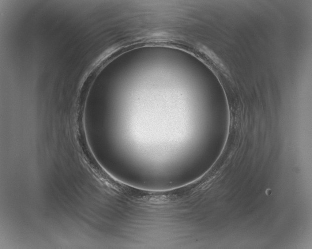 X0000082961410200702152254