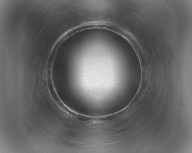 X0000082961412200702152254