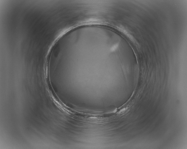 X0000082961413200702152254