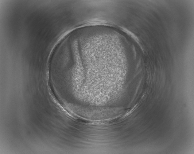 X0000082961415200702152254