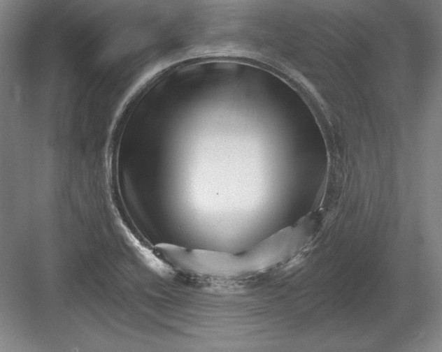 X0000082961416200702152254