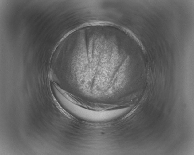 X0000082961417200702152254