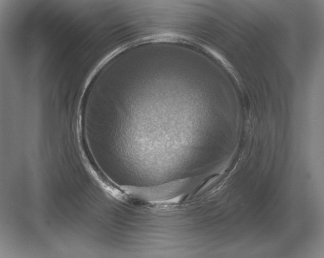 X0000082961418200702152254