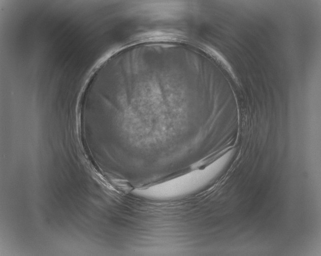 X0000082961419200702152254