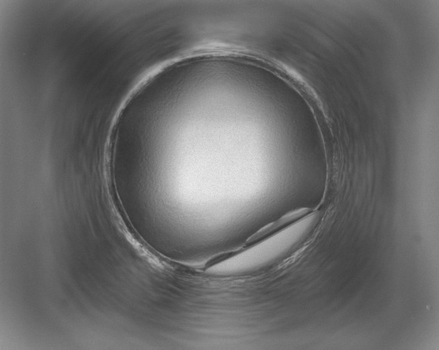 X0000082961421200702152254