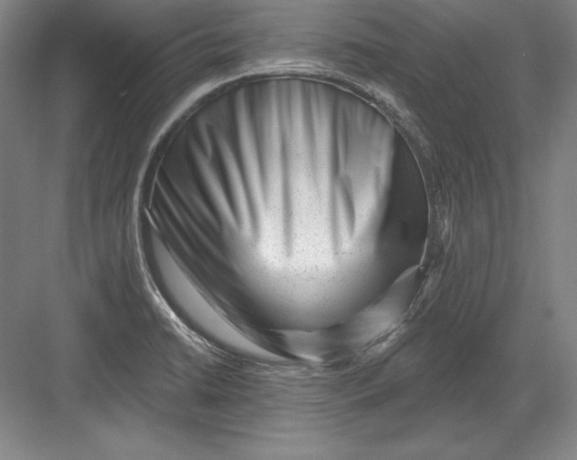 X0000082961422200702152254