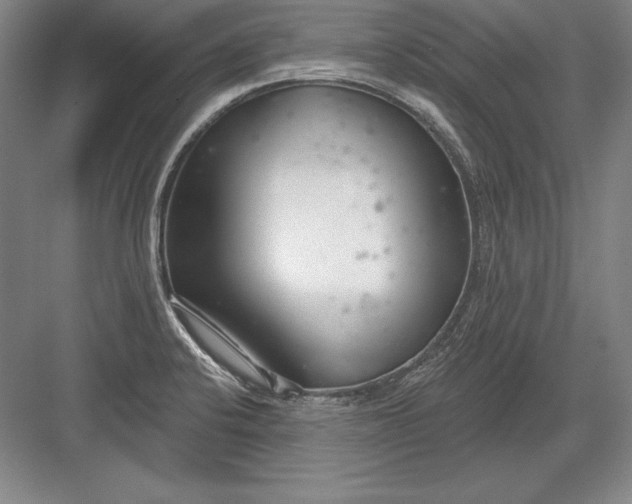 X0000082961424200702152254