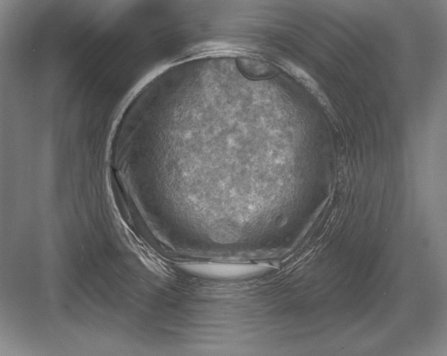 X0000082961427200702152254