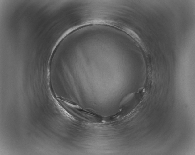 X0000082961428200702152254