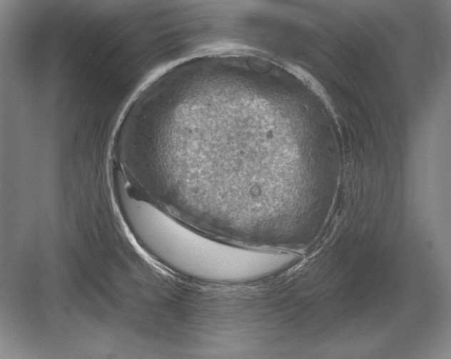 X0000082961429200702152254