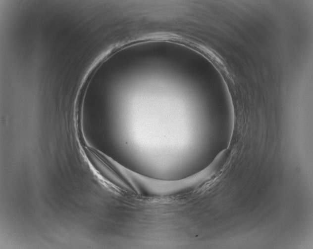 X0000082961430200702152254