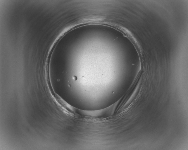 X0000082961432200702152254