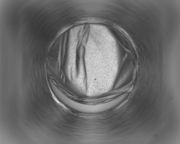 X0000082961433200702152254