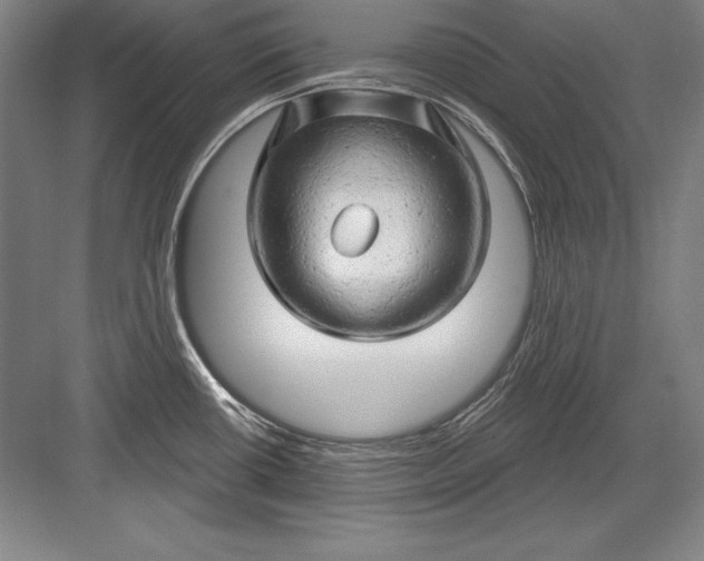 X0000082961434200702152254