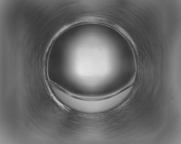 X0000082961437200702152254