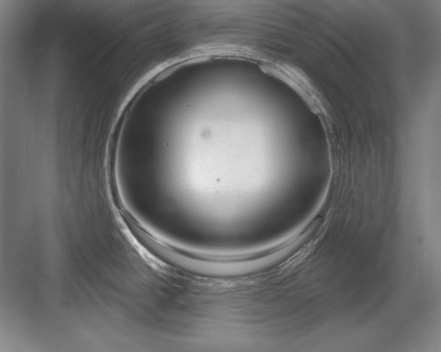 X0000082961438200702152254