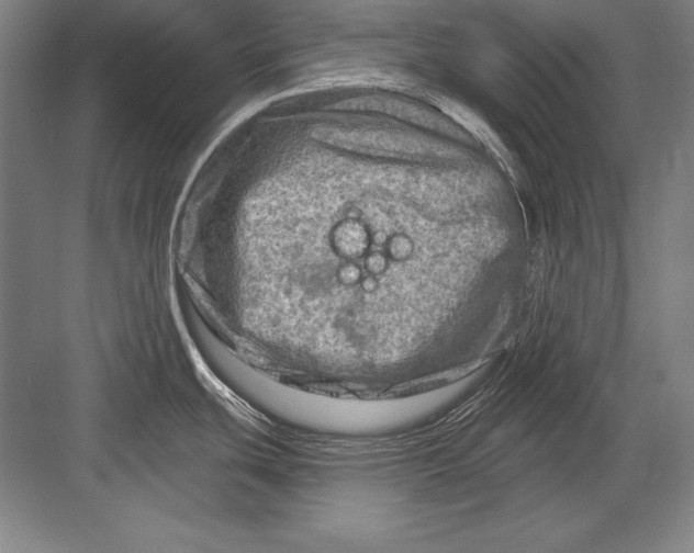 X0000082961439200702152254