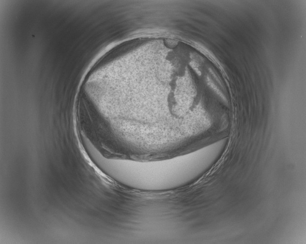 X0000082961440200702152254