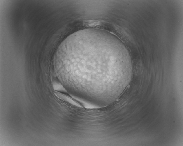 X0000082961441200702152253