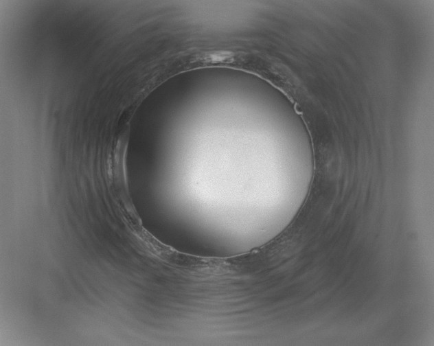 X0000082961442200702152253