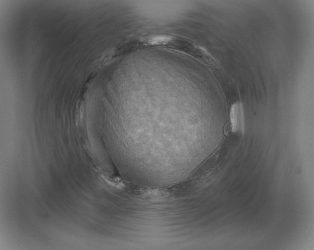 X0000082961443200702152253