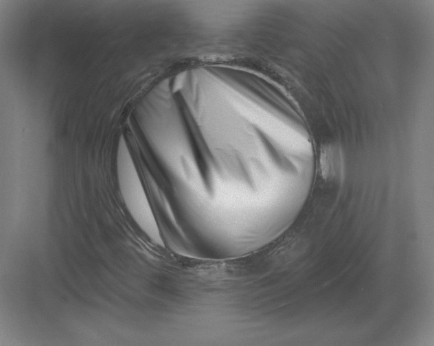 X0000082961444200702152253