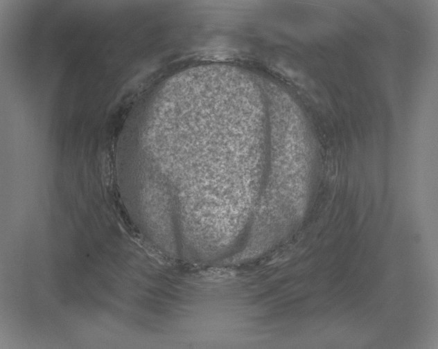 X0000082961446200702152253