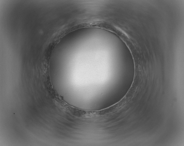 X0000082961447200702152253