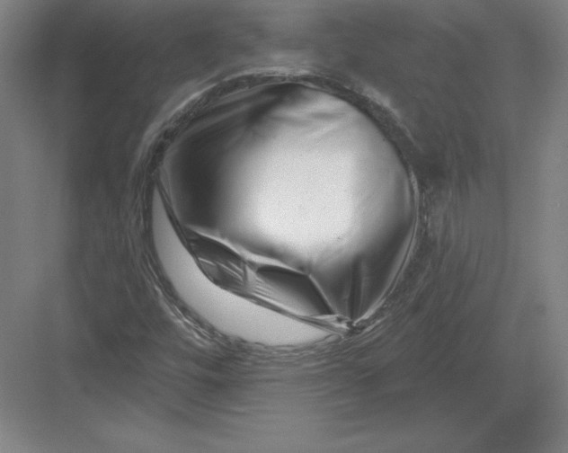 X0000082961448200702152253