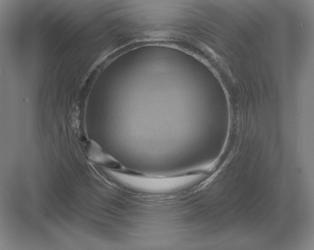 X0000082961449200702152253