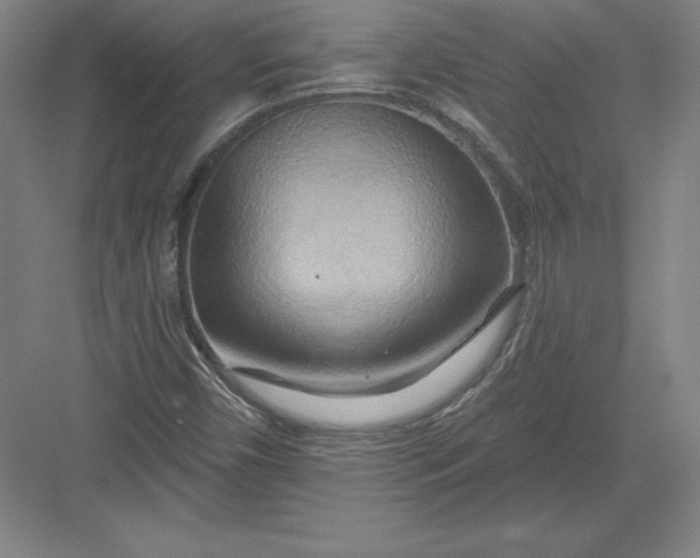 X0000082961450200702152253