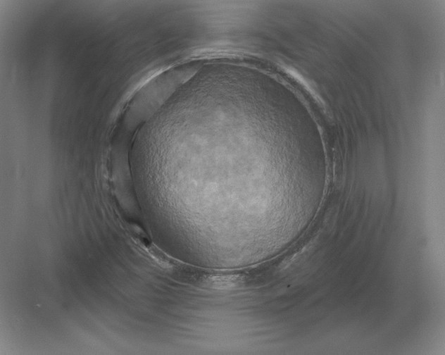 X0000082961453200702152253