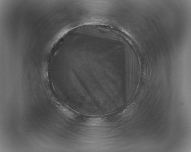 X0000082961455200702152253