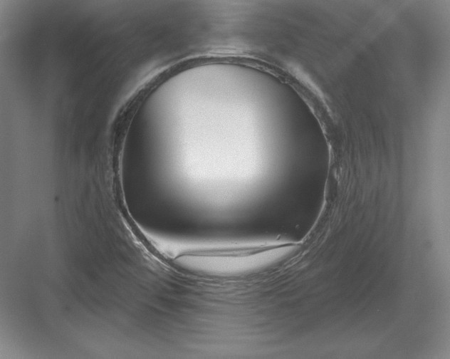 X0000082961456200702152253