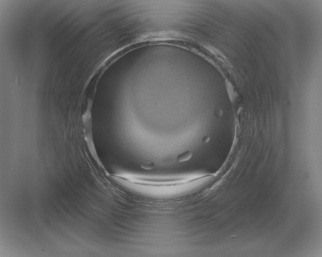 X0000082961457200702152253