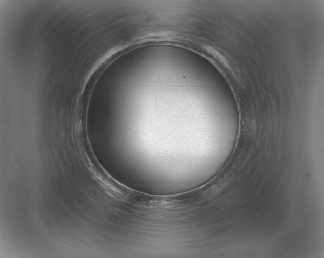 X0000082961458200702152253