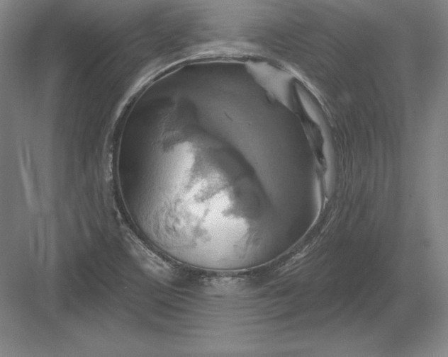 X0000082961459200702152253