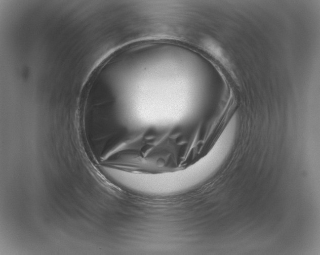 X0000082961460200702152253