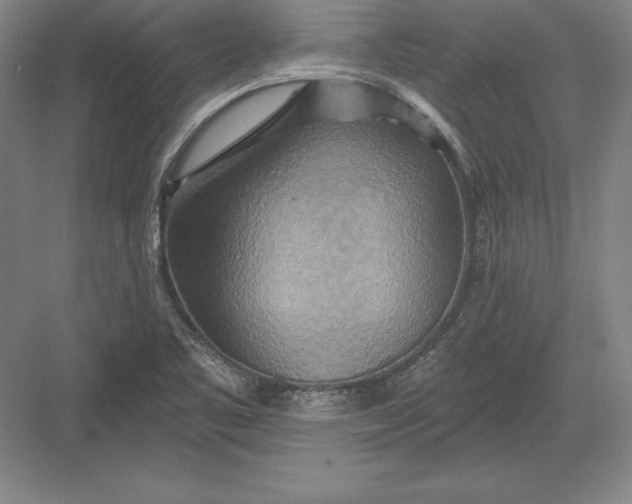 X0000082961461200702152253