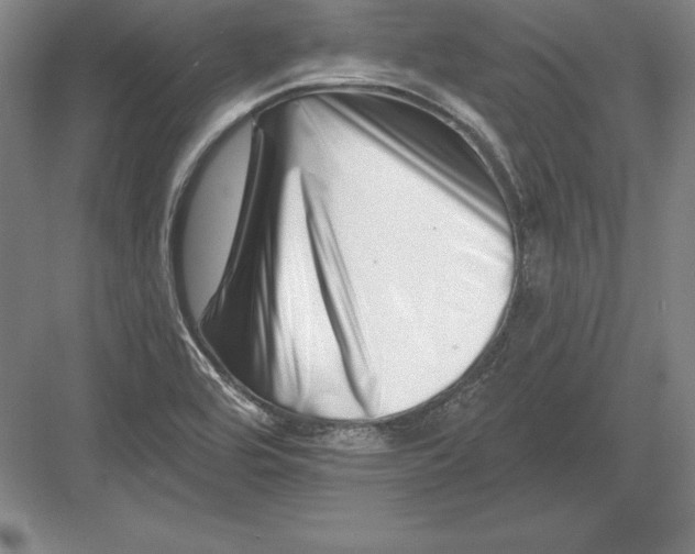 X0000082961464200702152253