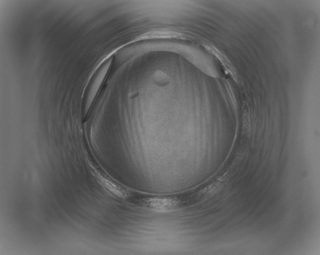 X0000082961465200702152253