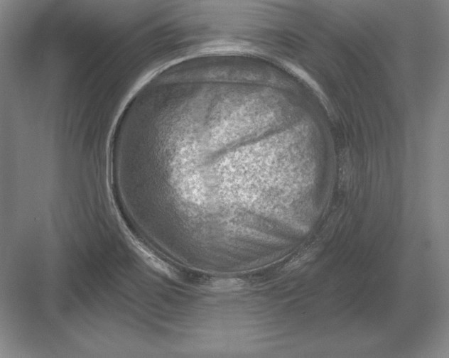 X0000082961467200702152253