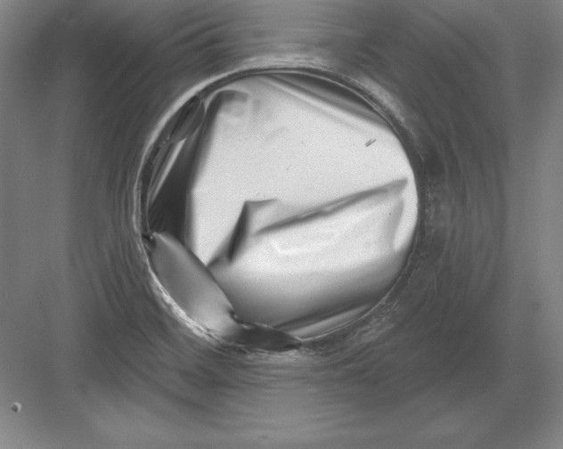 X0000082961468200702152253