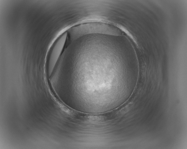 X0000082961469200702152253