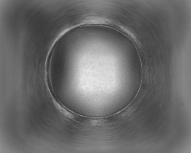 X0000082961471200702152253